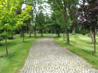 www.pinus.pl - stone, garden, paving