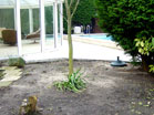 www.pinus.pl - Ogrody, kamień brukarstwo