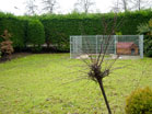 www.pinus.pl - Ogrody, kamień brukarstwo