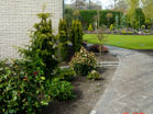 www.pinus.pl - Ogrody, kamień brukarstwo