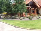 www.pinus.pl - Ogrody, kamień brukarstwo