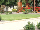 www.pinus.pl - Ogrody, kamień brukarstwo