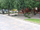 www.pinus.pl - Ogrody, kamień brukarstwo