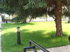 www.pinus.pl - Ogrody, kamień brukarstwo