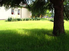 www.pinus.pl - Ogrody, kamień brukarstwo