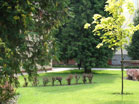 www.pinus.pl - Ogrody, kamień brukarstwo
