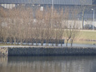 www.pinus.pl - Ogrody, kamień brukarstwo