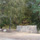 www.pinus.pl - gabiony