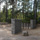 www.pinus.pl - gabiony