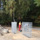 www.pinus.pl - gabiony