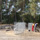 www.pinus.pl - gabiony