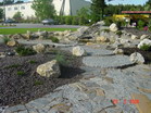www.pinus.pl - Ogrody, kamień brukarstwo