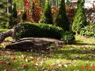www.pinus.pl - Ogrody, kamień brukarstwo