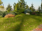 www.pinus.pl - Ogrody, kamień brukarstwo