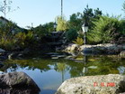 www.pinus.pl - Ogrody, kamień brukarstwo