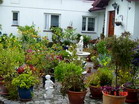www.pinus.pl - Ogrody, kamień brukarstwo