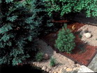 www.pinus.pl - Ogrody, kamień brukarstwo