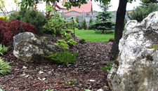 Galeria - Kamień jurajski