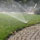 www.pinus.pl - gabiony