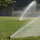www.pinus.pl - gabiony