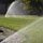 www.pinus.pl - gabiony