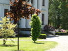 www.pinus.pl - Ogrody, kamień brukarstwo