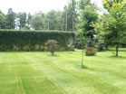 www.pinus.pl - Ogrody, kamień brukarstwo