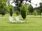 www.pinus.pl - Ogrody, kamień brukarstwo