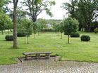 www.pinus.pl - Ogrody, kamień brukarstwo