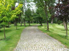 www.pinus.pl - Ogrody, kamień brukarstwo