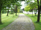 www.pinus.pl - Ogrody, kamień brukarstwo