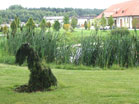www.pinus.pl - Ogrody, kamień brukarstwo