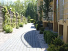 www.pinus.pl - Ogrody, kamień brukarstwo