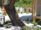 www.pinus.pl - Ogrody, kamień brukarstwo