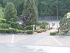 www.pinus.pl - Ogrody, kamień brukarstwo