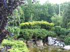 www.pinus.pl - Ogrody, kamień brukarstwo