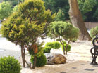 www.pinus.pl - Ogrody, kamień brukarstwo
