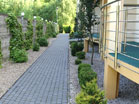 www.pinus.pl - Ogrody, kamień brukarstwo