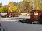 www.pinus.pl - Ogrody, kamień brukarstwo