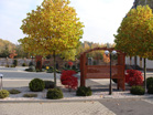 www.pinus.pl - Ogrody, kamień brukarstwo