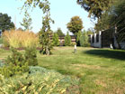 www.pinus.pl - Ogrody, kamień brukarstwo