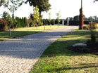 www.pinus.pl - Ogrody, kamień brukarstwo