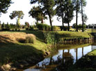www.pinus.pl - Ogrody, kamień brukarstwo
