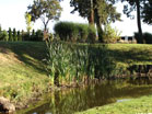 www.pinus.pl - Ogrody, kamień brukarstwo