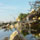 www.pinus.pl - Brukarstwo