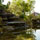 www.pinus.pl - Brukarstwo