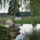 www.pinus.pl - Brukarstwo