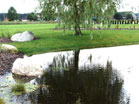 www.pinus.pl - Ogrody, kamień brukarstwo
