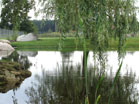 www.pinus.pl - Ogrody, kamień brukarstwo