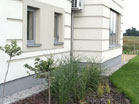 www.pinus.pl - Ogrody, kamień brukarstwo